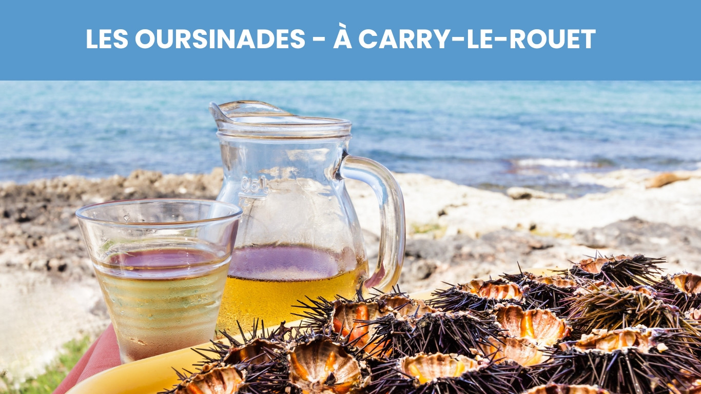 LES OURSINADES À CARRY-LE-ROUET 2026